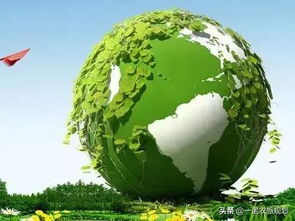 中國農(nóng)業(yè)十大布局方向 以戰(zhàn)略格局推動環(huán)保技術(shù)推廣